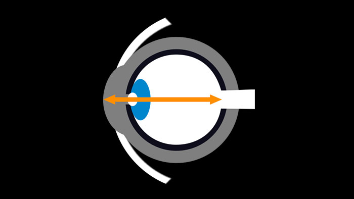 technologie_biometrie