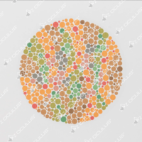 Ishihara Colour Chart