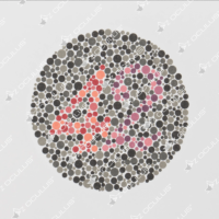Ishihara Colour Chart