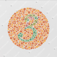 Ishihara Colour Chart